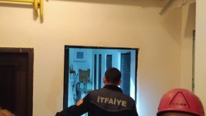 Apartmanda yılan paniği
