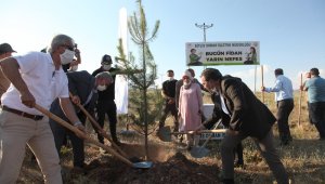 Ahlat'ta 1071 fidan dikildi