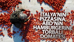 İtalya'nın pizzasına, ABD'nin hamburgerine Torbalı domatesi