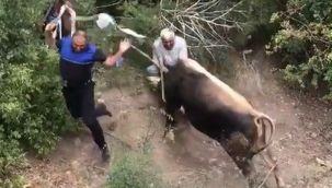 Türkiye'den kurban manzaraları