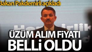Bakan Bekir Pakdemirli, yeni sezon üzüm alım fiyatını açıkladı