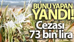 Bu zambağı koparmanın cezası 73 bin lira