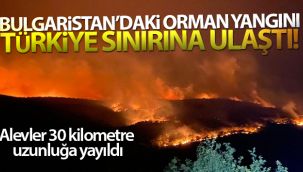 Bulgaristan'daki orman yangını Türkiye sınırına ulaştı