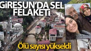 Giresun’da selde hayatını kaybedenlerin sayısı 9'a yükseldi