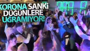 Korona sanki düğünlere uğramıyor