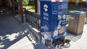 Kuşadası'nda sokak hayvanları için mamamatikler hizmete girdi