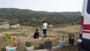 Kuyuda can pazarı