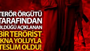 Terör örgütünce öldüğü açıklanan bir terörist ikna yolu ile Jandarmaya teslim oldu