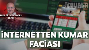 Prof. Dr. Sefa SAYGILI yazdı...